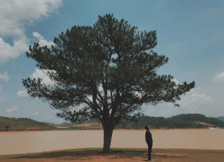 tour du lich da lat