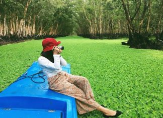 Kinh nghiệm du lịch rừng tràm Trà Sư ở An Giang hấp dẫn du khách Kinh nghiệm du lịch rừng tràm Trà Sư ở An Giang hấp dẫn du khách