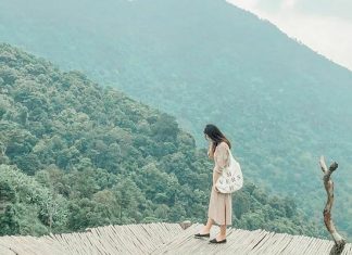 Review vẻ đẹp mê mẩn lòng người của cổng trời Tam Đảo