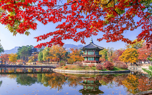 Vì sao du lịch Hàn Quốc mùa thu luôn là thời điểm thu hút du khách