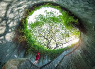 Check in 7 tọa độ du lịch Singapore hấp dẫn nhất năm 2023 Check in 7 tọa độ du lịch Singapore hấp dẫn nhất năm 2023